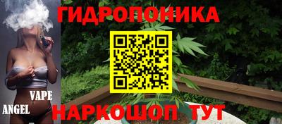 альфа пвп Гусев